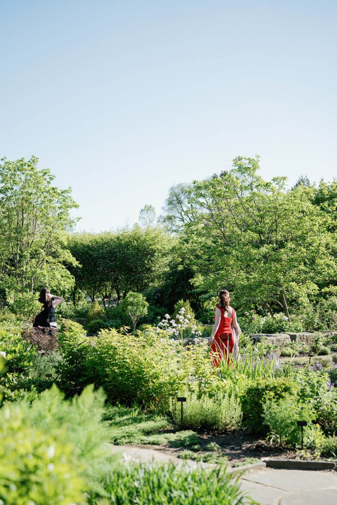 Guests strolling the grounds during a wedding at the Cleveland Botanical Garden